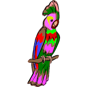 Parrot 13