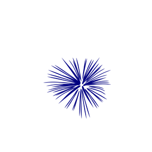 Navy Blue Fireworks - Single