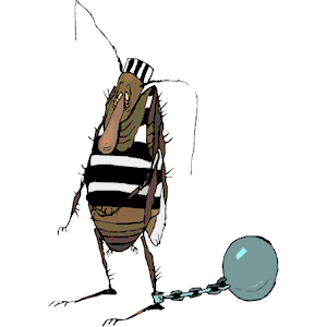 Bug - Prisoner