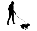 Woman Walking Dog Silhouette