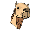 camel head 01