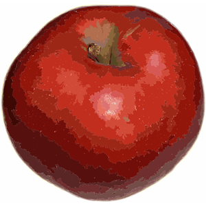 Red apple - vectorized