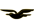 Frigate bird 2