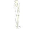 Bones - Leg 2