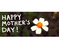 Happy Mother's Day Banner with Flower