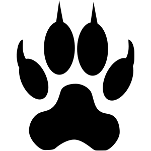 Dog or Wolf Footstep/track