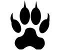Dog or Wolf Footstep/track
