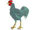 Rooster Blue