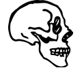 skull profile