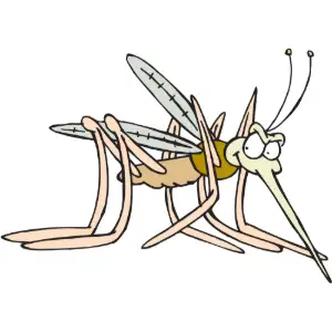 Mosquito Clipart