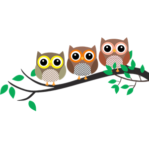 Three Owls in a tree