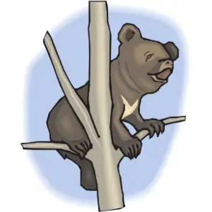 Bear Cub Clipart