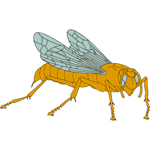 Flying Insect 10