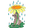 Mouse in Rain