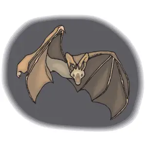 Bat Clipart